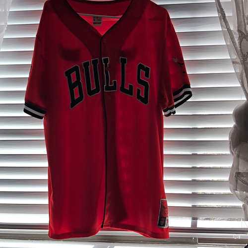 Chicago bulls nba basketball - chicago,